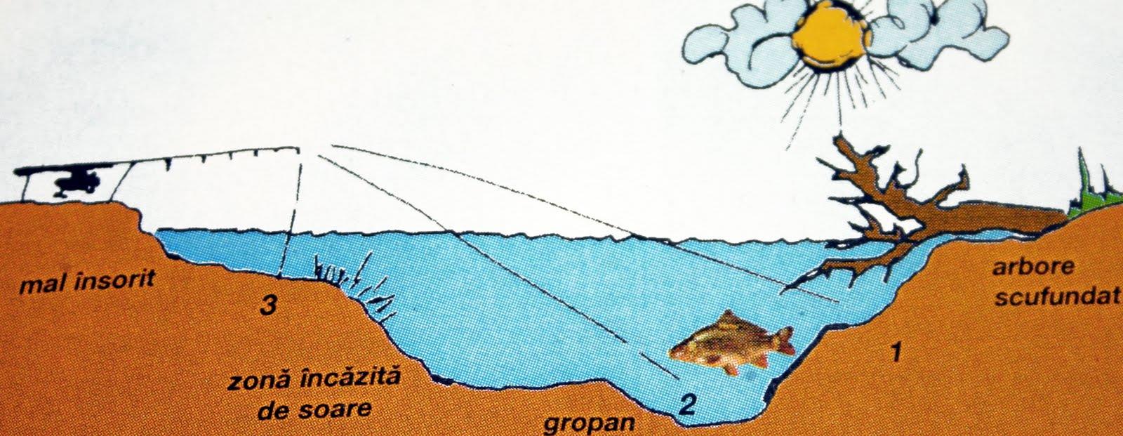 Interesant III :) - pescuitul-crapului.jpg